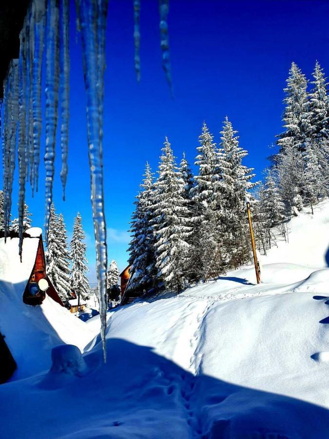 Jahorina 7Lux Apartment ภายนอก รูปภาพ